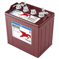 T-890 8V Flooded Lead Acid Battery - Master