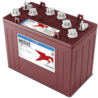 T-1275 12V Flooded Lead Acid Battery - Master