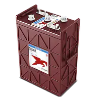 SSIG 06 490 6V Flooded Lead Acid Battery - Master